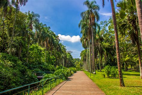 Spędź Niezapomniane Chwile w Jardim Botânico de Makhanda! Oaza Spokoju i Biologicznej Różnorodności