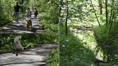  Wuhu Park - Oaza spokoju i cudów natury w sercu Huainan!