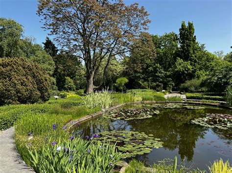  Ogród Botaniczny Kainji: Oaza zieleni w sercu Nigerii!