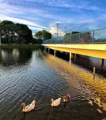 Parque da Cidade, zielona oaza w samym sercu Guarujá!