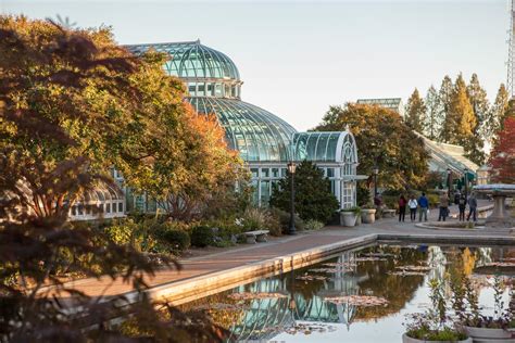 Ogród Botaniczny Yancheng - zielona oaza w sercu miasta!